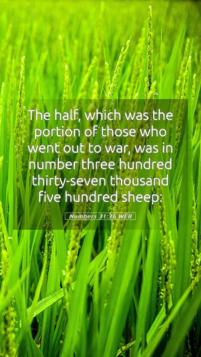 Picture 05 - Numbers 31:36 WEB Mobile Phone Wallpaper - The half, which was the portion of those who went - Mobile Bible Verse Wallpaper