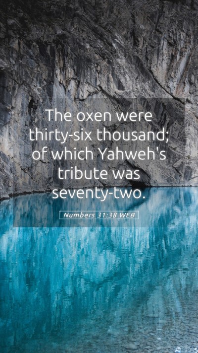 Picture 05 - Numbers 31:38 WEB Mobile Phone Wallpaper - The oxen were thirty-six thousand; of which - Mobile Bible Verse Wallpaper