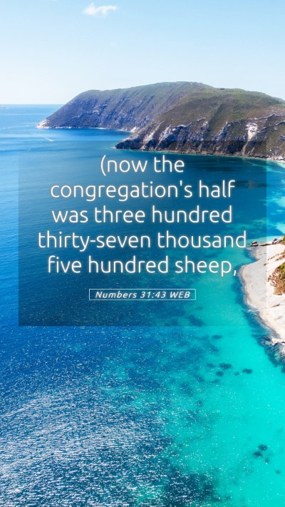 Picture 05 - Numbers 31:43 WEB Mobile Phone Wallpaper - (now the congregation's half was three hundred - Mobile Bible Verse Wallpaper