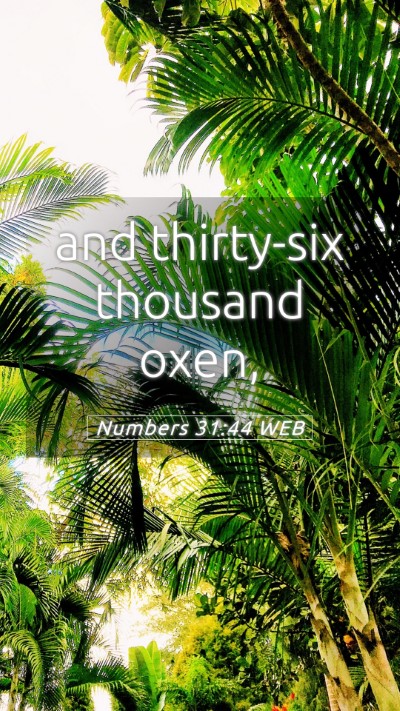 Picture 05 - Numbers 31:44 WEB Mobile Phone Wallpaper - and thirty-six thousand - Mobile Bible Verse Wallpaper