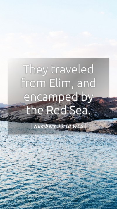 Picture 05 - Numbers 33:10 WEB Mobile Phone Wallpaper - They traveled from Elim, and encamped by the Red - Mobile Bible Verse Wallpaper