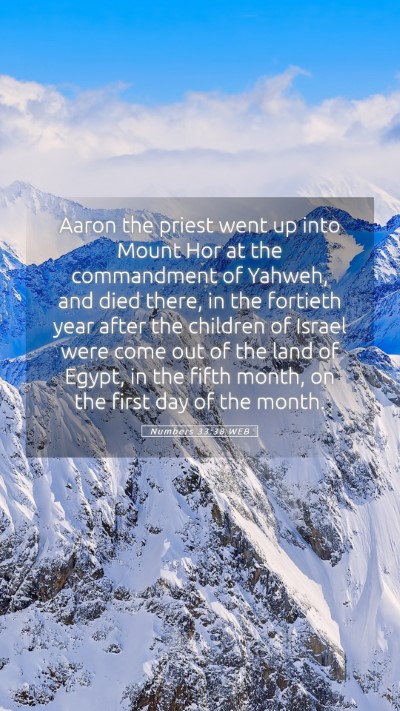 Picture 05 - Numbers 33:38 WEB Mobile Phone Wallpaper - Aaron the priest went up into Mount Hor at the - Mobile Bible Verse Wallpaper