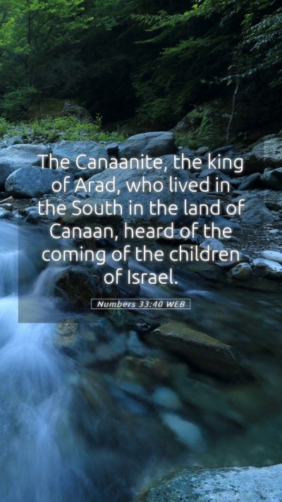 Picture 05 - Numbers 33:40 WEB Mobile Phone Wallpaper - The Canaanite, the king of Arad, who lived in the - Mobile Bible Verse Wallpaper