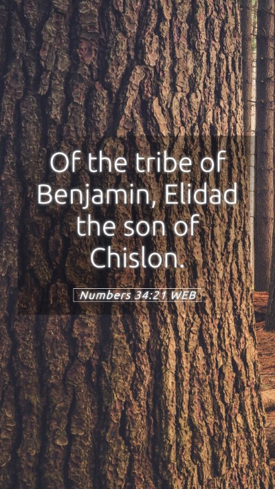 Picture 05 - Numbers 34:21 WEB Mobile Phone Wallpaper - Of the tribe of Benjamin, Elidad the son of - Mobile Bible Verse Wallpaper