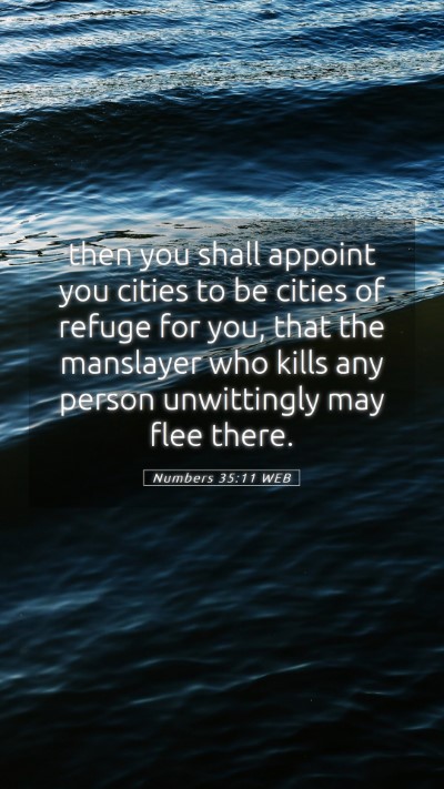Picture 05 - Numbers 35:11 WEB Mobile Phone Wallpaper - then you shall appoint you cities to be cities of - Mobile Bible Verse Wallpaper