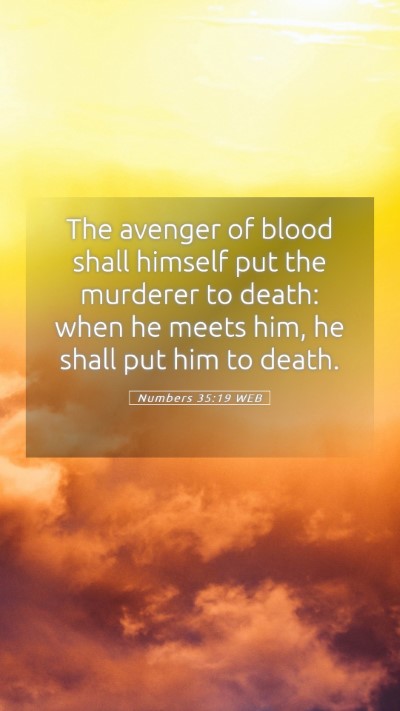 Picture 05 - Numbers 35:19 WEB Mobile Phone Wallpaper - The avenger of blood shall himself put the - Mobile Bible Verse Wallpaper