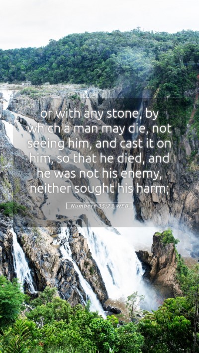 Picture 05 - Numbers 35:23 WEB Mobile Phone Wallpaper - or with any stone, by which a man may die, not - Mobile Bible Verse Wallpaper