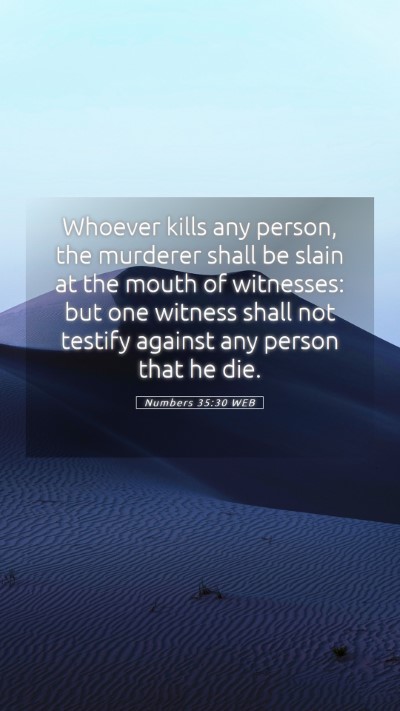 Picture 05 - Numbers 35:30 WEB Mobile Phone Wallpaper - Whoever kills any person, the murderer shall be - Mobile Bible Verse Wallpaper