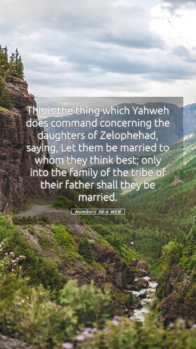 Picture 05 - Numbers 36:6 WEB Mobile Phone Wallpaper - This is the thing which Yahweh does command - Mobile Bible Verse Wallpaper