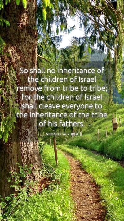 Picture 05 - Numbers 36:7 WEB Mobile Phone Wallpaper - So shall no inheritance of the children of Israel - Mobile Bible Verse Wallpaper