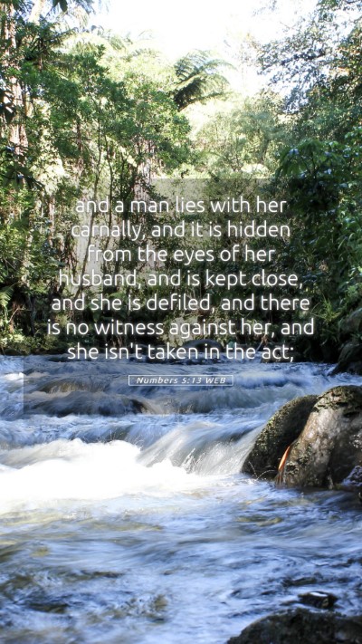 Picture 05 - Numbers 5:13 WEB Mobile Phone Wallpaper - and a man lies with her carnally, and it is - Mobile Bible Verse Wallpaper