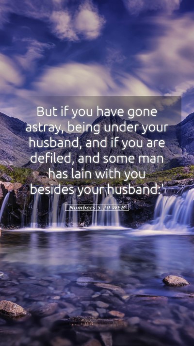 Picture 05 - Numbers 5:20 WEB Mobile Phone Wallpaper - But if you have gone astray, being under your - Mobile Bible Verse Wallpaper