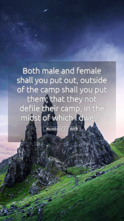 Picture 05 - Numbers 5:3 WEB Mobile Phone Wallpaper - Both male and female shall you put out, outside - Mobile Bible Verse Wallpaper