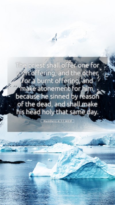 Picture 05 - Numbers 6:11 WEB Mobile Phone Wallpaper - The priest shall offer one for a sin offering, - Mobile Bible Verse Wallpaper