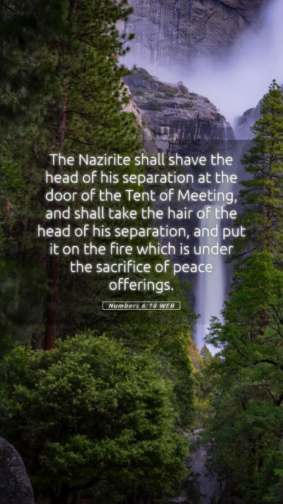 Picture 05 - Numbers 6:18 WEB Mobile Phone Wallpaper - The Nazirite shall shave the head of his - Mobile Bible Verse Wallpaper