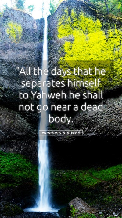 Picture 05 - Numbers 6:6 WEB Mobile Phone Wallpaper - 