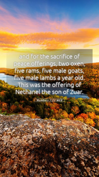 Picture 05 - Numbers 7:23 WEB Mobile Phone Wallpaper - and for the sacrifice of peace offerings, two - Mobile Bible Verse Wallpaper
