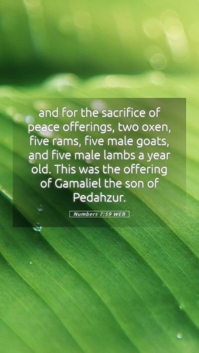 Picture 05 - Numbers 7:59 WEB Mobile Phone Wallpaper - and for the sacrifice of peace offerings, two - Mobile Bible Verse Wallpaper