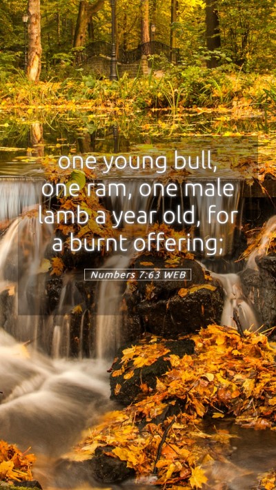 Picture 05 - Numbers 7:63 WEB Mobile Phone Wallpaper - one young bull, one ram, one male lamb a year - Mobile Bible Verse Wallpaper