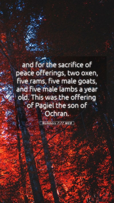 Picture 05 - Numbers 7:77 WEB Mobile Phone Wallpaper - and for the sacrifice of peace offerings, two - Mobile Bible Verse Wallpaper