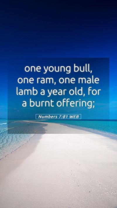 Picture 05 - Numbers 7:81 WEB Mobile Phone Wallpaper - one young bull, one ram, one male lamb a year - Mobile Bible Verse Wallpaper