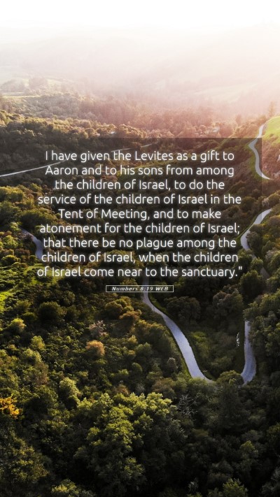 Picture 05 - Numbers 8:19 WEB Mobile Phone Wallpaper - I have given the Levites as a gift to Aaron and - Mobile Bible Verse Wallpaper