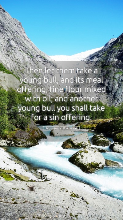 Picture 05 - Numbers 8:8 WEB Mobile Phone Wallpaper - Then let them take a young bull, and its meal - Mobile Bible Verse Wallpaper