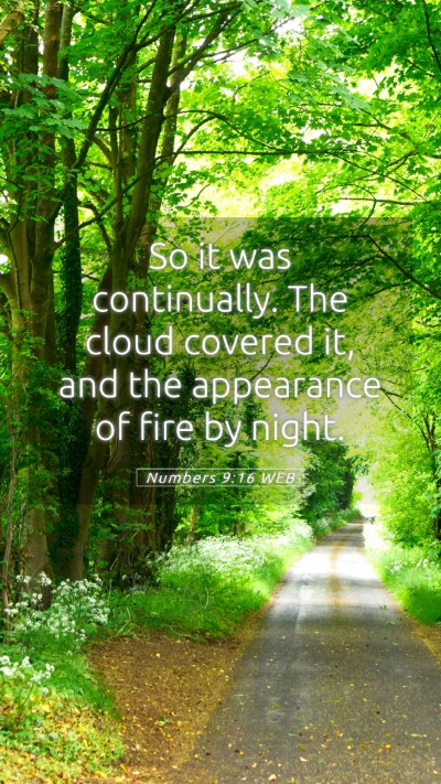 Picture 05 - Numbers 9:16 WEB Mobile Phone Wallpaper - So it was continually. The cloud covered it, and - Mobile Bible Verse Wallpaper