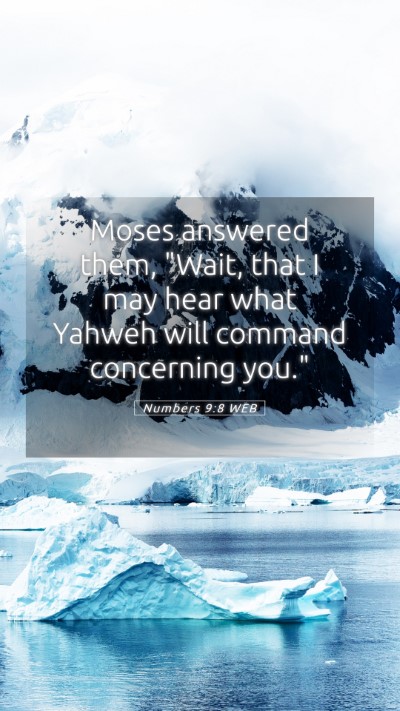 Picture 05 - Numbers 9:8 WEB Mobile Phone Wallpaper - Moses answered them, 