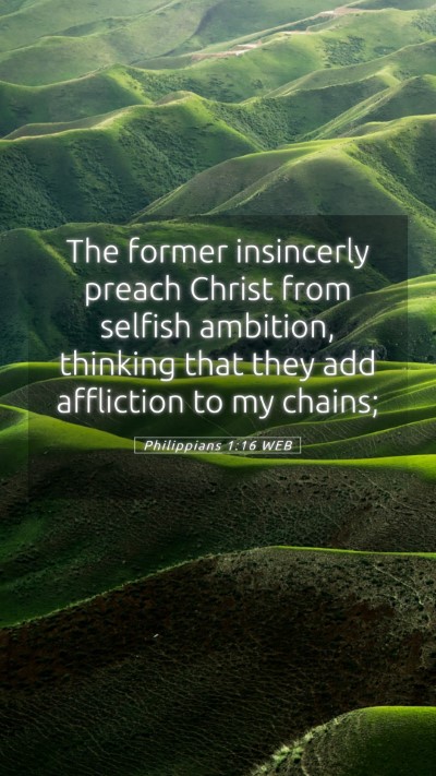 Picture 05 - Philippians 1:16 WEB Mobile Phone Wallpaper - The former insincerly preach Christ from selfish - Mobile Bible Verse Wallpaper