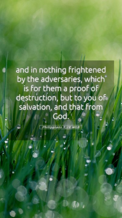 Picture 05 - Philippians 1:28 WEB Mobile Phone Wallpaper - and in nothing frightened by the adversaries, - Mobile Bible Verse Wallpaper