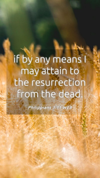 Picture 05 - Philippians 3:11 WEB Mobile Phone Wallpaper - if by any means I may attain to the resurrection - Mobile Bible Verse Wallpaper