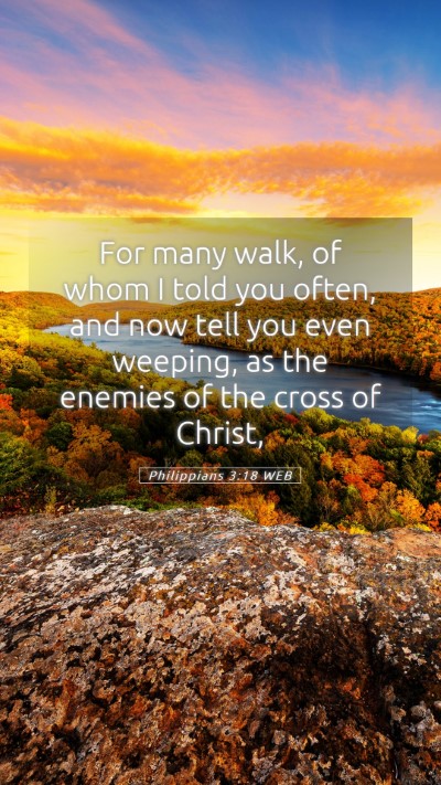 Picture 05 - Philippians 3:18 WEB Mobile Phone Wallpaper - For many walk, of whom I told you often, and now - Mobile Bible Verse Wallpaper