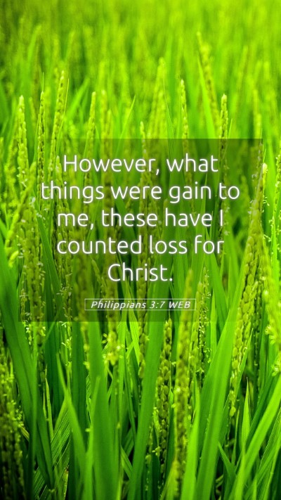 Picture 05 - Philippians 3:7 WEB Mobile Phone Wallpaper - However, what things were gain to me, these have - Mobile Bible Verse Wallpaper