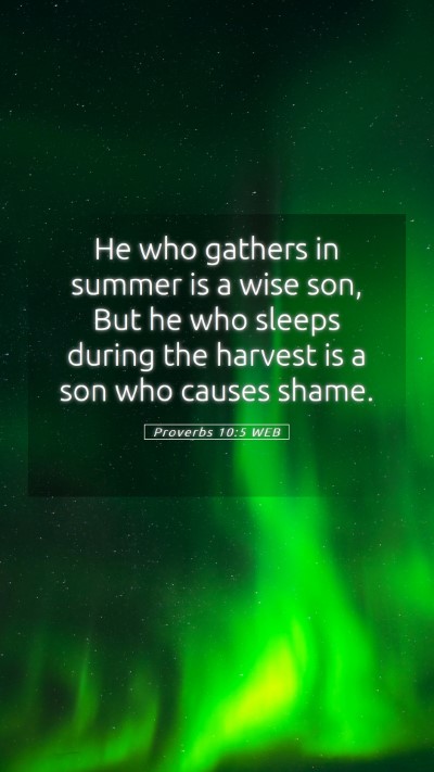 Picture 05 - Proverbs 10:5 WEB Mobile Phone Wallpaper - He who gathers in summer is a wise son, But he - Mobile Bible Verse Wallpaper