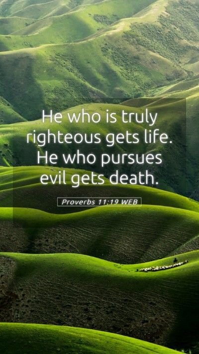 Picture 05 - Proverbs 11:19 WEB Mobile Phone Wallpaper - He who is truly righteous gets life. He who - Mobile Bible Verse Wallpaper