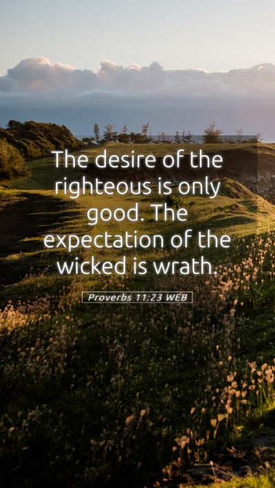 Picture 05 - Proverbs 11:23 WEB Mobile Phone Wallpaper - The desire of the righteous is only good. The - Mobile Bible Verse Wallpaper