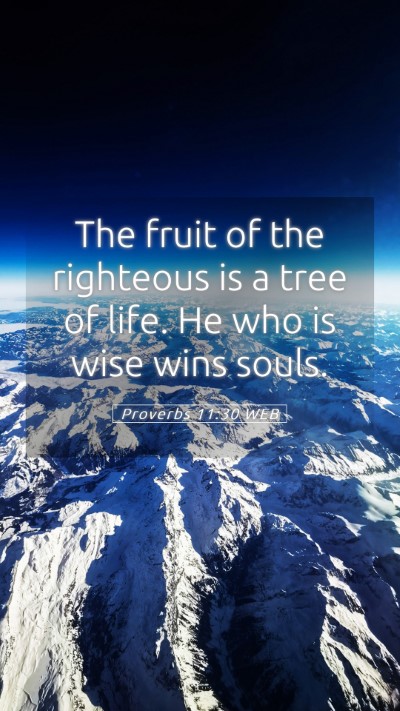 Picture 05 - Proverbs 11:30 WEB Mobile Phone Wallpaper - The fruit of the righteous is a tree of life. He - Mobile Bible Verse Wallpaper