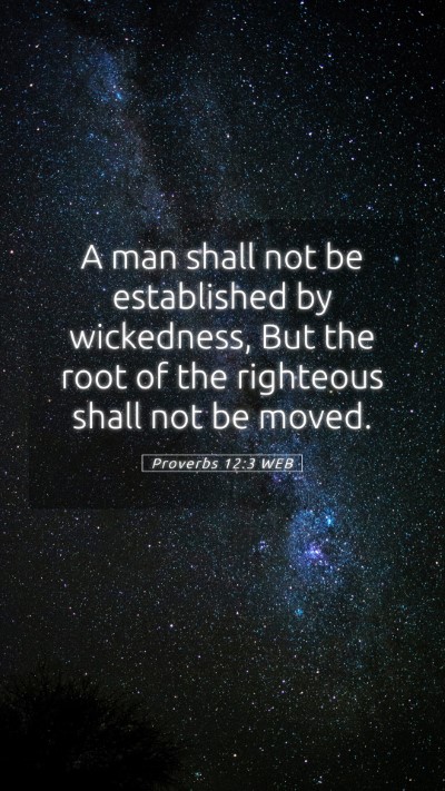 Picture 05 - Proverbs 12:3 WEB Mobile Phone Wallpaper - A man shall not be established by wickedness, But - Mobile Bible Verse Wallpaper