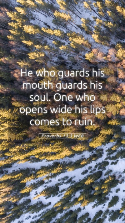 Picture 05 - Proverbs 13:3 WEB Mobile Phone Wallpaper - He who guards his mouth guards his soul. One who - Mobile Bible Verse Wallpaper