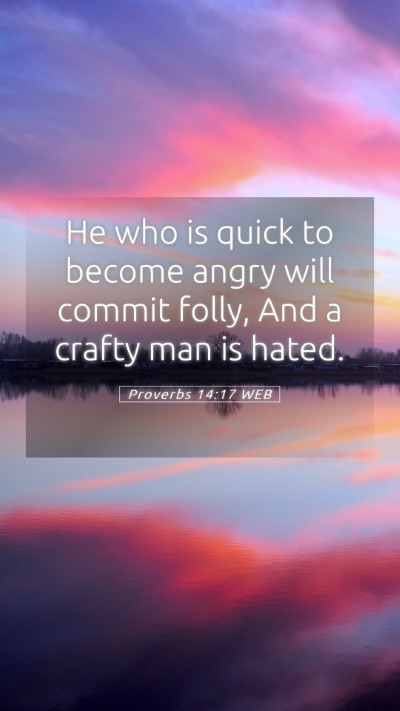 Picture 05 - Proverbs 14:17 WEB Mobile Phone Wallpaper - He who is quick to become angry will commit - Mobile Bible Verse Wallpaper