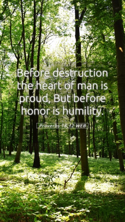 Picture 05 - Proverbs 18:12 WEB Mobile Phone Wallpaper - Before destruction the heart of man is proud, But - Mobile Bible Verse Wallpaper