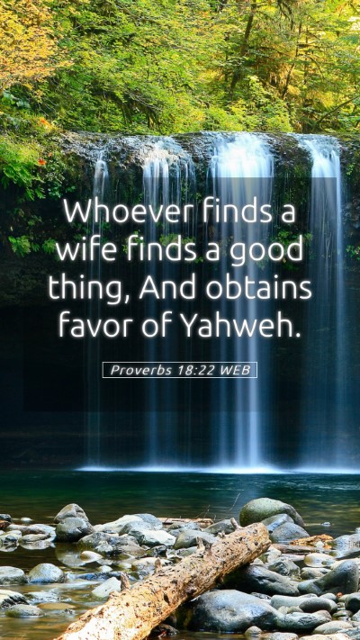 Picture 05 - Proverbs 18:22 WEB Mobile Phone Wallpaper - Whoever finds a wife finds a good thing, And - Mobile Bible Verse Wallpaper