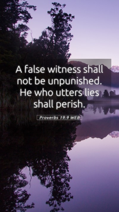 Picture 05 - Proverbs 19:9 WEB Mobile Phone Wallpaper - A false witness shall not be unpunished. He who - Mobile Bible Verse Wallpaper