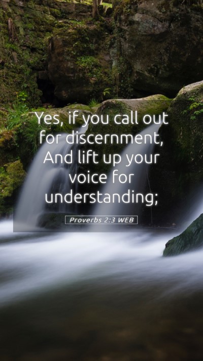 Picture 05 - Proverbs 2:3 WEB Mobile Phone Wallpaper - Yes, if you call out for discernment, And lift up - Mobile Bible Verse Wallpaper