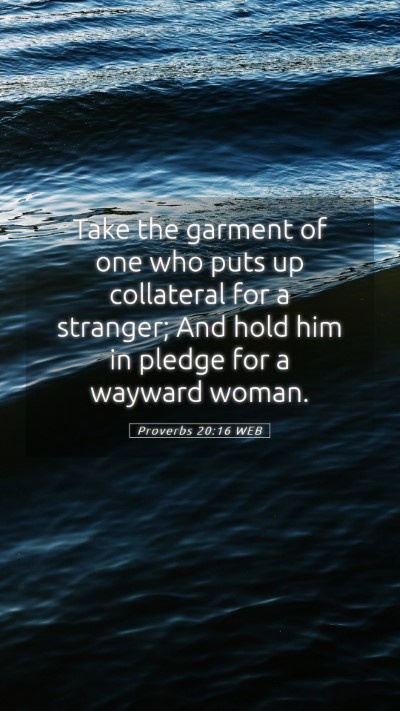 Picture 05 - Proverbs 20:16 WEB Mobile Phone Wallpaper - Take the garment of one who puts up collateral - Mobile Bible Verse Wallpaper
