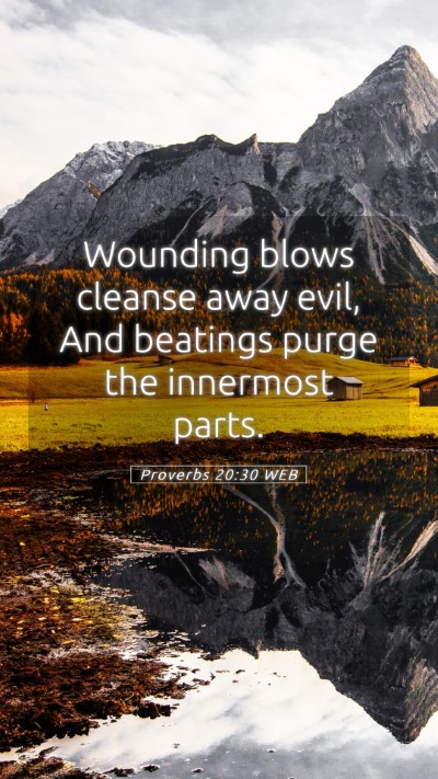 Picture 05 - Proverbs 20:30 WEB Mobile Phone Wallpaper - Wounding blows cleanse away evil, And beatings - Mobile Bible Verse Wallpaper