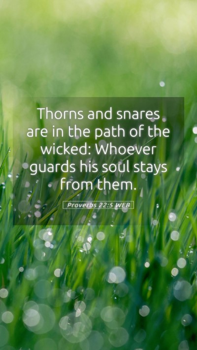 Picture 05 - Proverbs 22:5 WEB Mobile Phone Wallpaper - Thorns and snares are in the path of the wicked: - Mobile Bible Verse Wallpaper