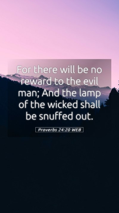 Picture 05 - Proverbs 24:20 WEB Mobile Phone Wallpaper - For there will be no reward to the evil man; And - Mobile Bible Verse Wallpaper