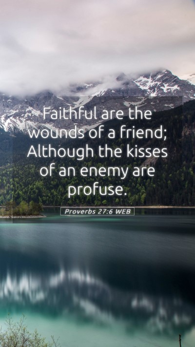 Picture 05 - Proverbs 27:6 WEB Mobile Phone Wallpaper - Faithful are the wounds of a friend; Although the - Mobile Bible Verse Wallpaper